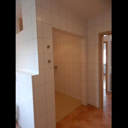 !neu! Stilvolle Viola *