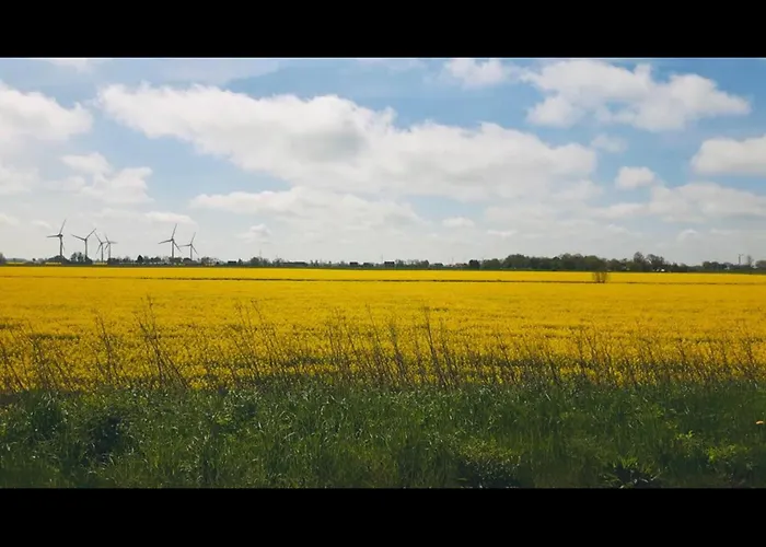 !neu! Stilvolle Viola Apartament *