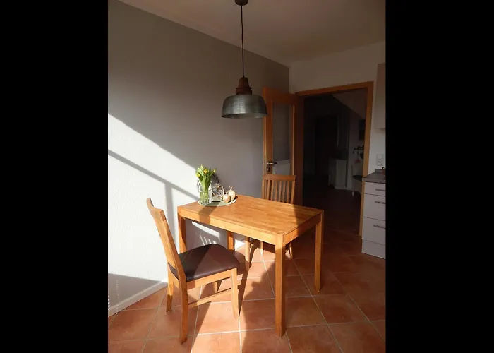 !neu! Stilvolle Viola Pilsum